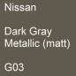 Preview: Nissan, Dark Gray Metallic (matt), G03.